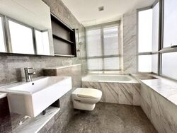 The Parc Condominium (D5), Condominium #450156451